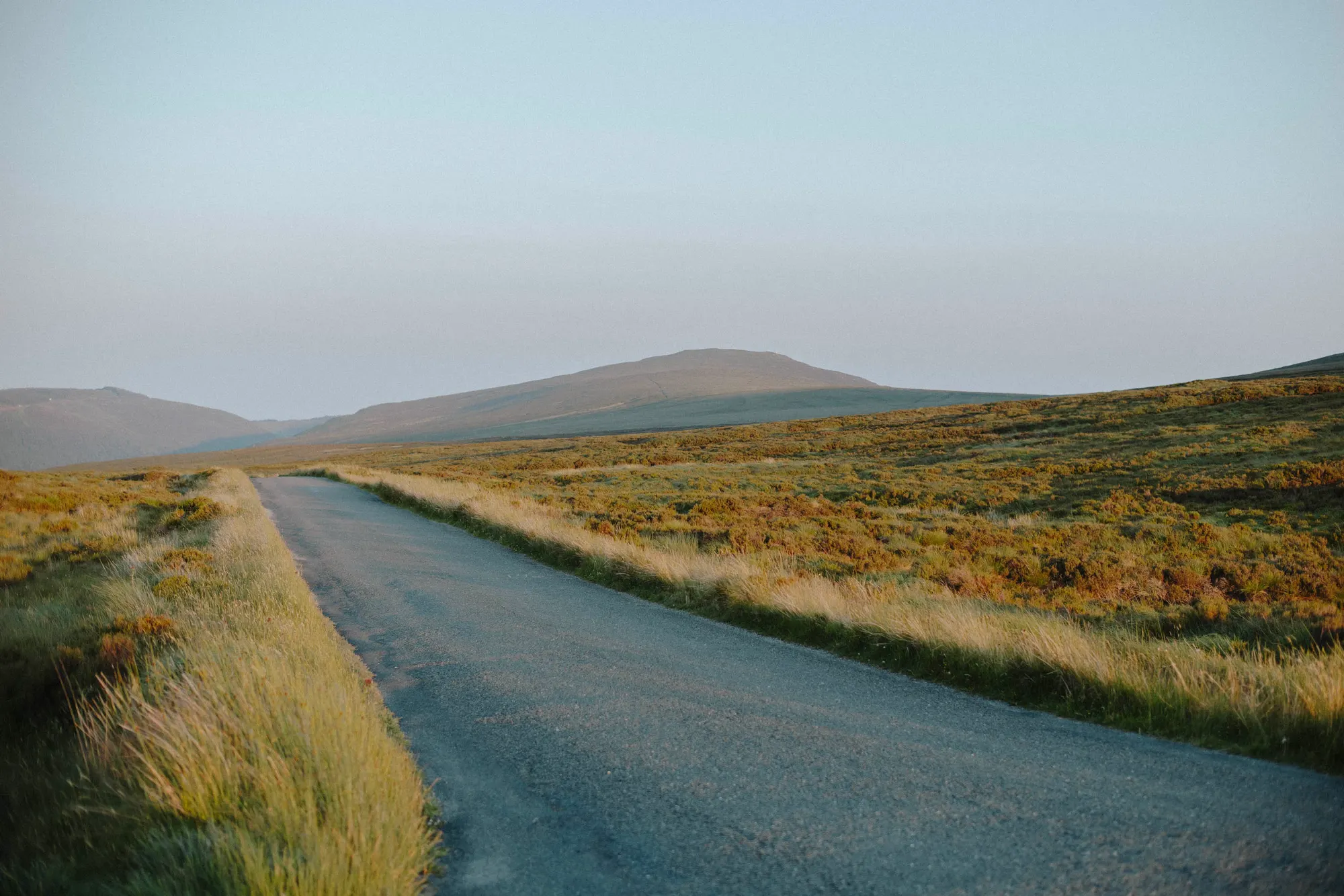 Wicklow